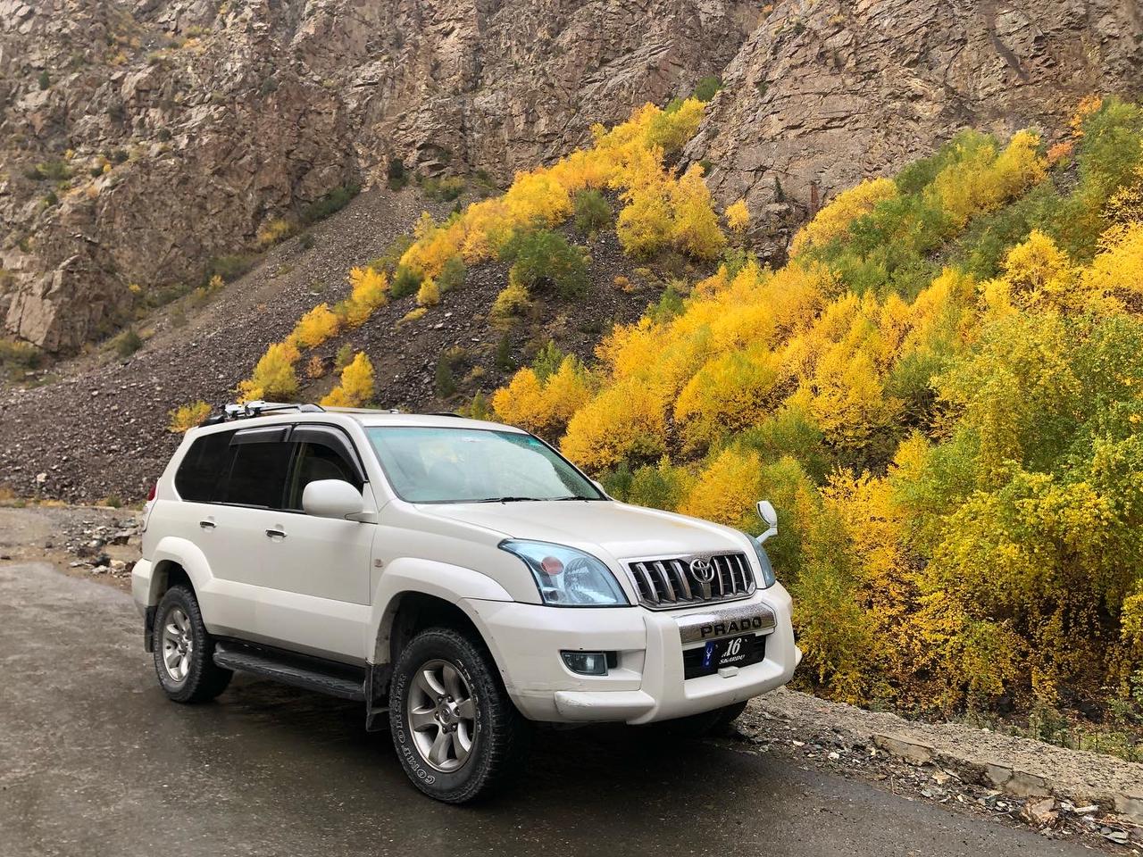 Tz prado