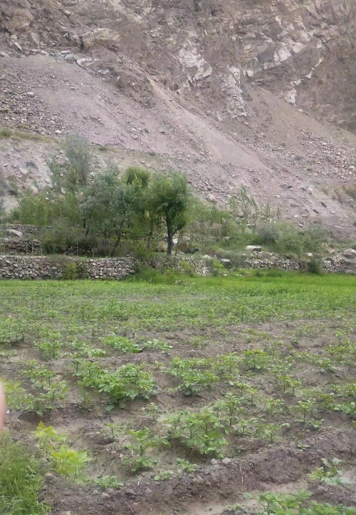 Commercial plot in Hunza hasanabad